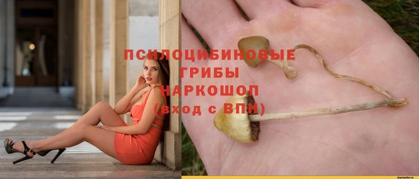 spice Аркадак