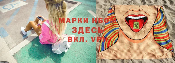 spice Аркадак