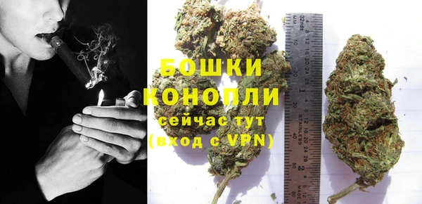 spice Аркадак