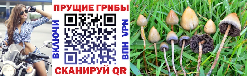 Галлюциногенные грибы Magic Shrooms  Белово 